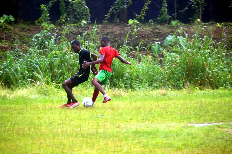 Two players duelling for the ball beside a hedge of tall grass
